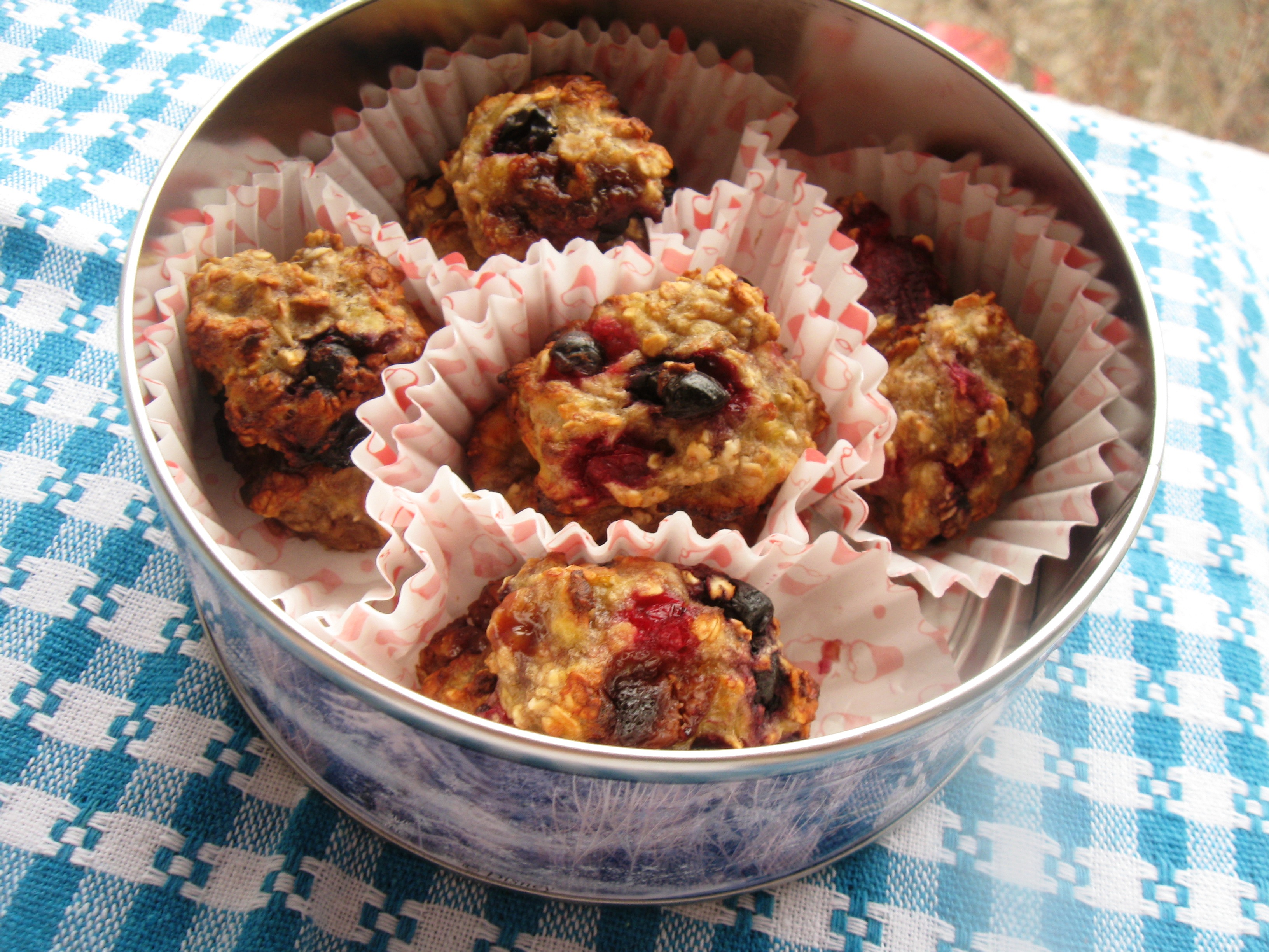 Cookies cu fulgi de ovaz si fructe de padure