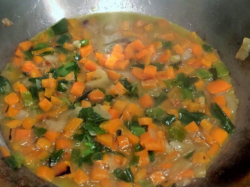 Terina de legume