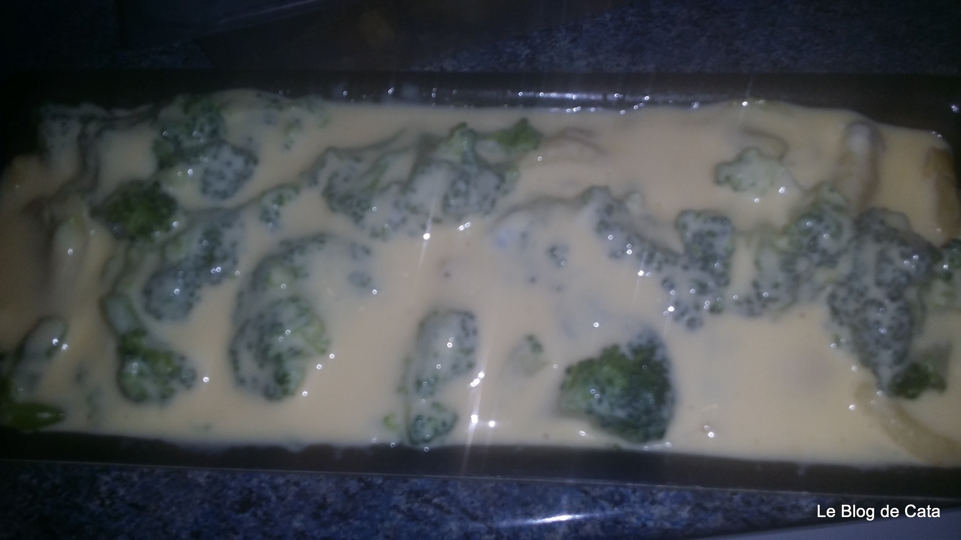 Chec cu raviolis si broccoli