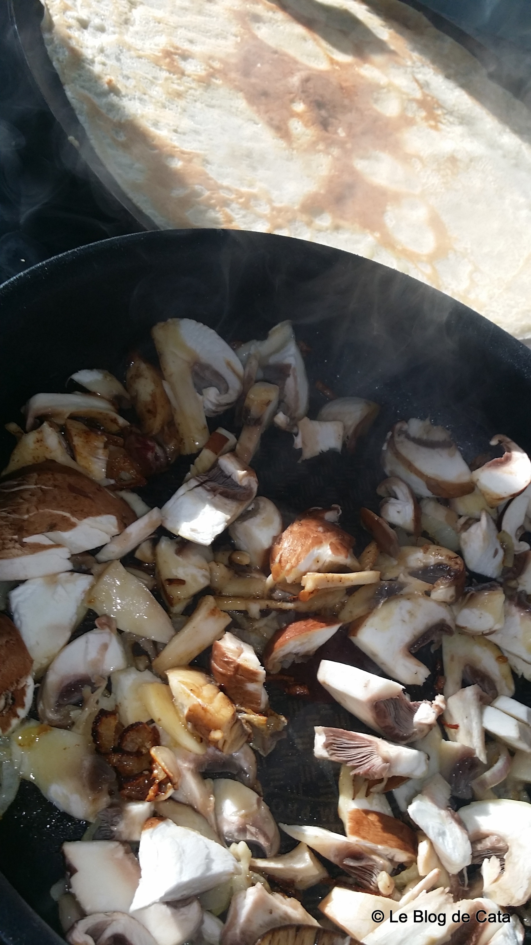 Clatite cu ciuperci si sunca la cuptor