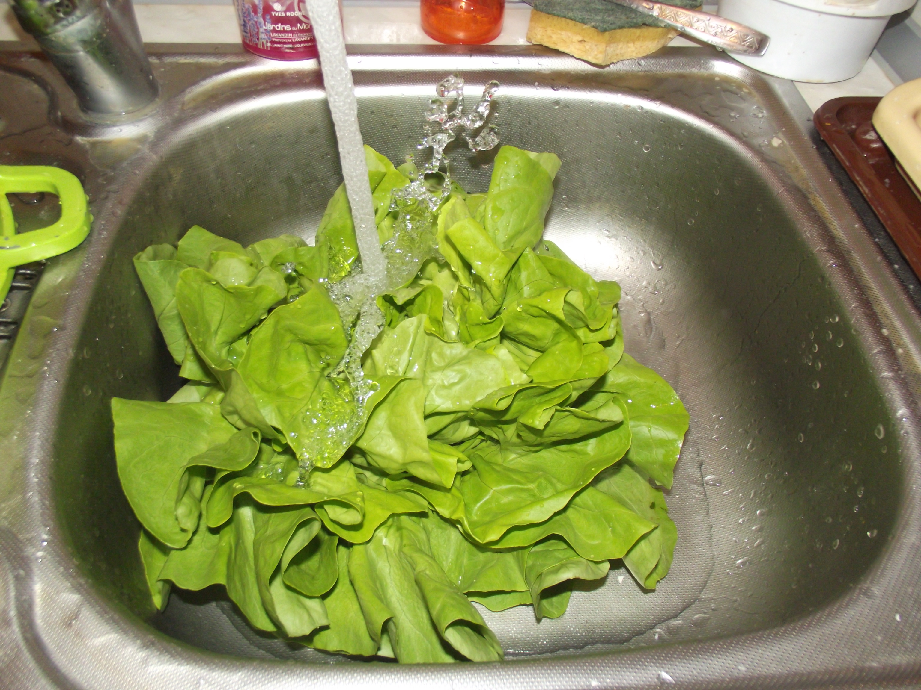 Salata (de dieta, ieftina)