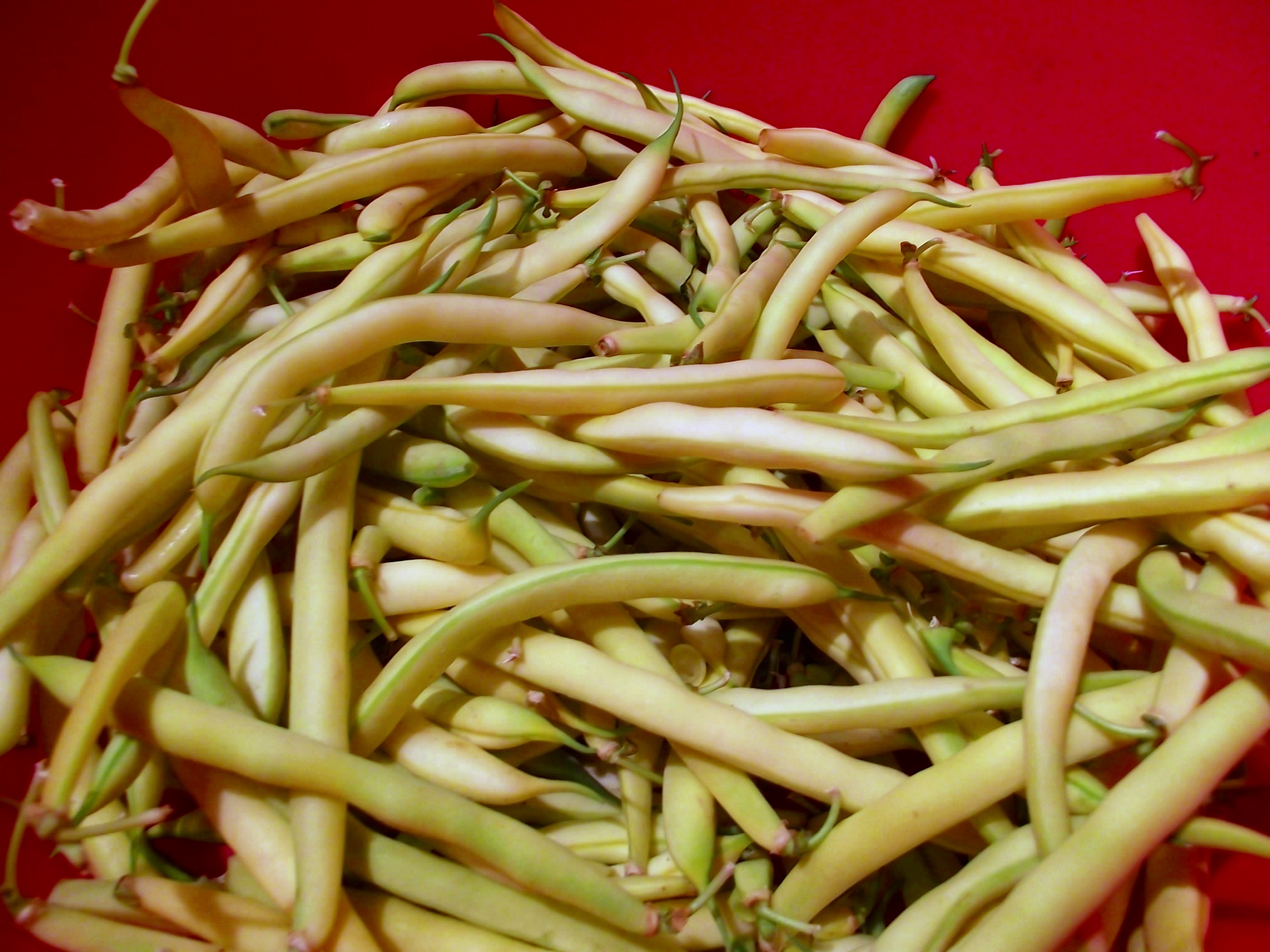 Salata de fasole verde cu maioneza si usturoi