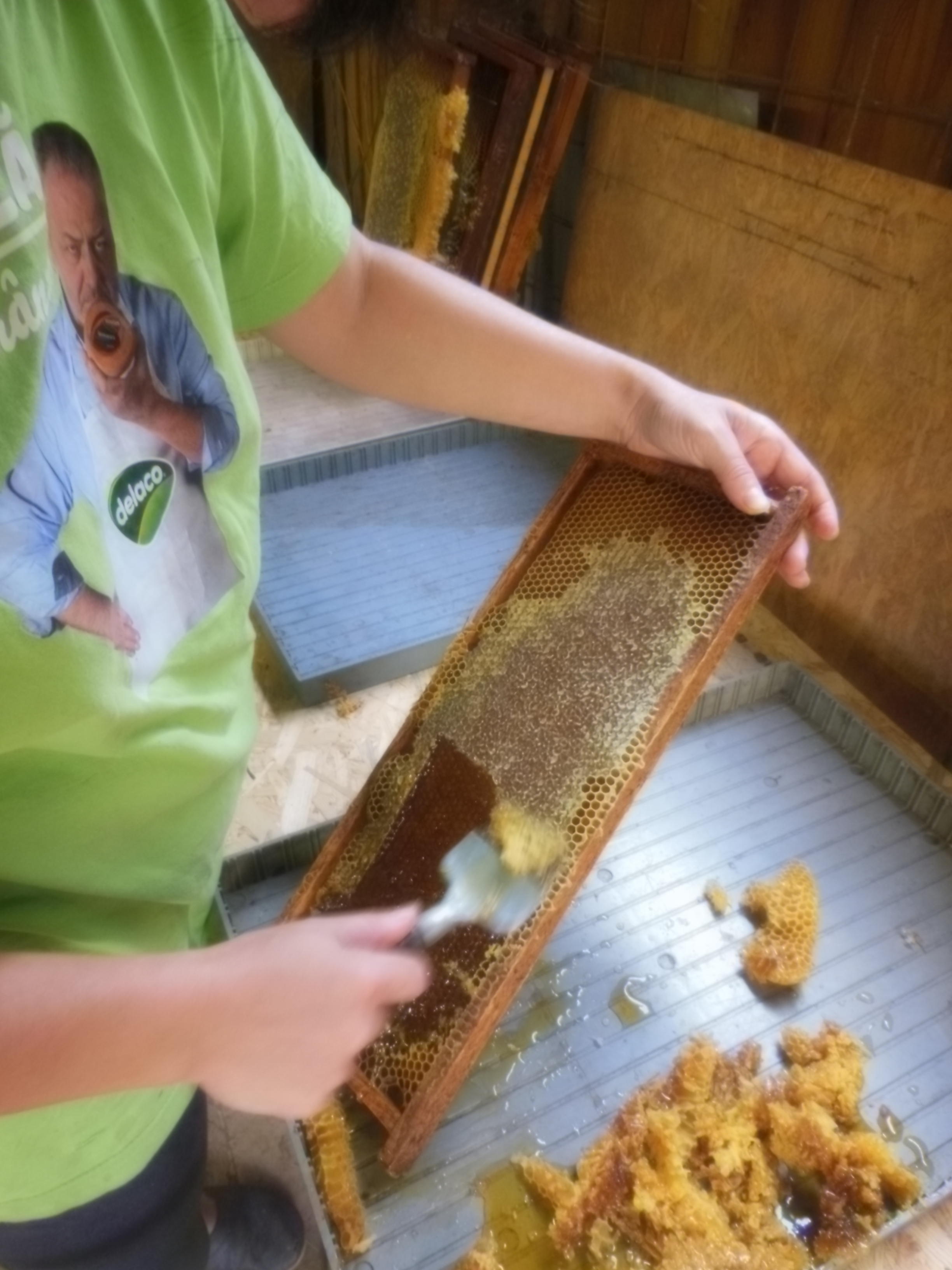 Experiente noi, cum sa scoti mierea din faguri.....