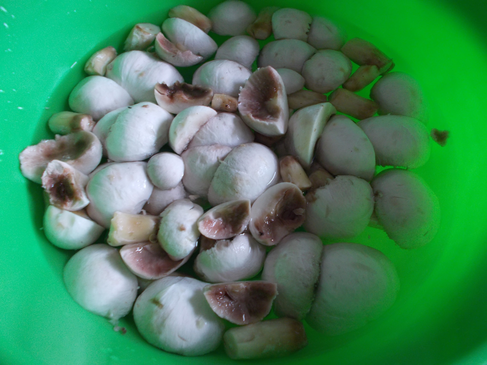 Ciulama de champignons cu mamaliguta