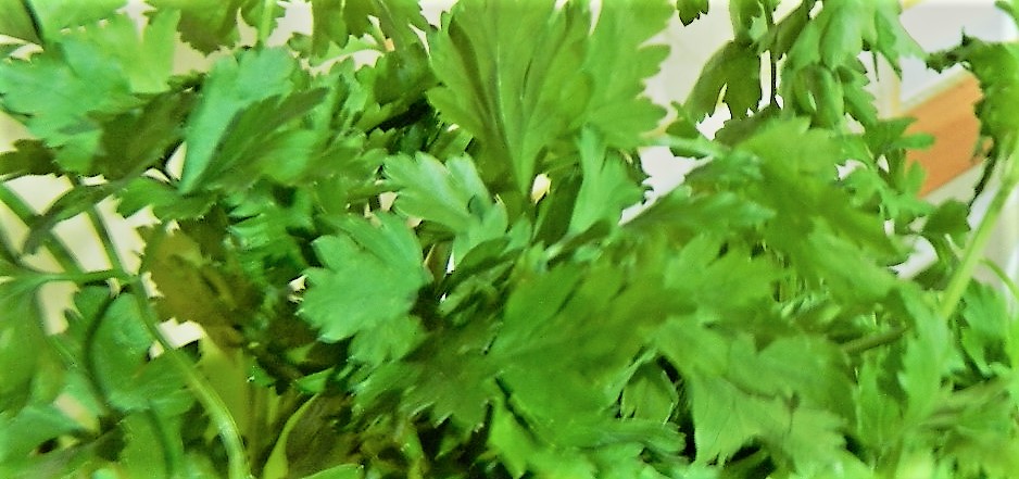 Merlucius crocant cu fasole verde sotata