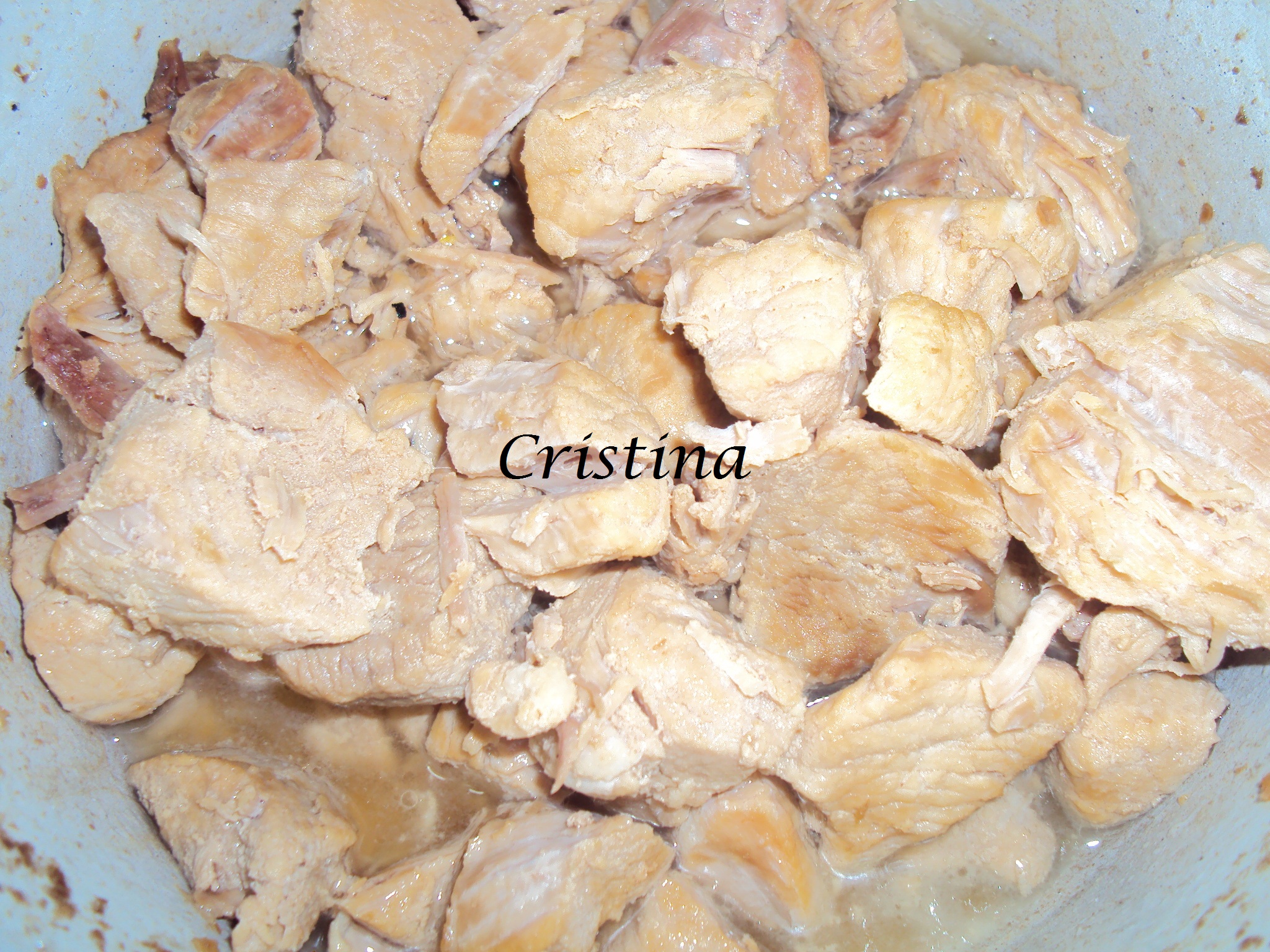 Gyros cu carne de porc