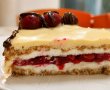 Desert tort aniversar-9