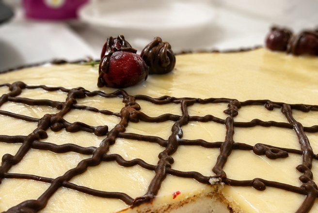 Desert tort aniversar