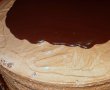 Desert tort amandina-11