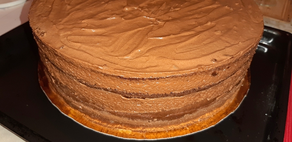 Desert tort amandina