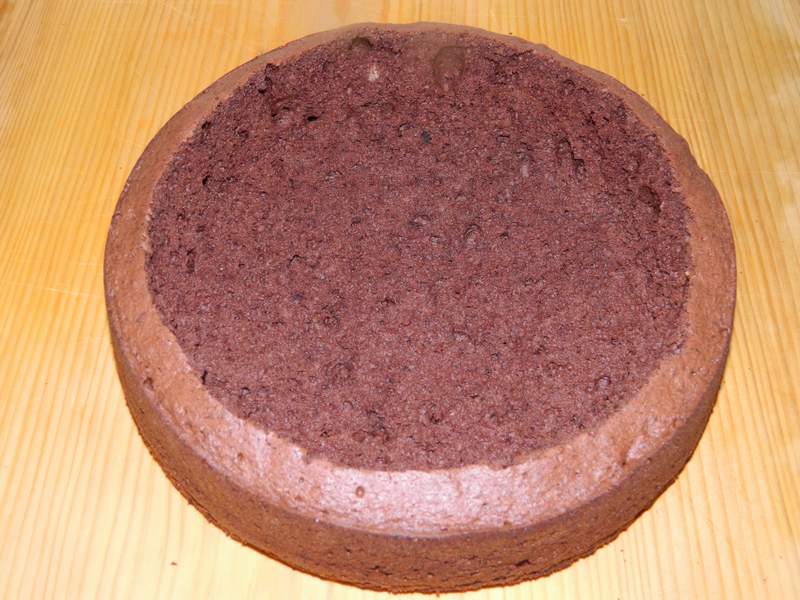 Desert tort musuroi de cartita