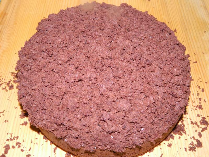 Desert tort musuroi de cartita