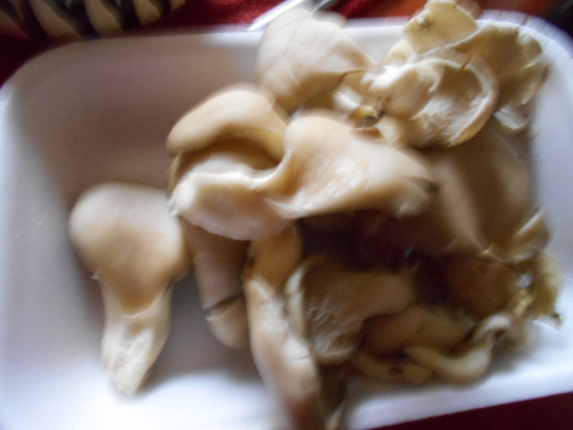 Ciuperci pleurotus pane