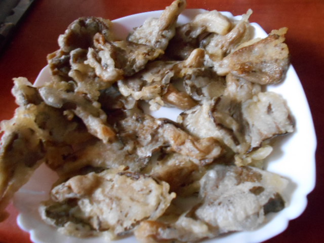 Ciuperci pleurotus pane