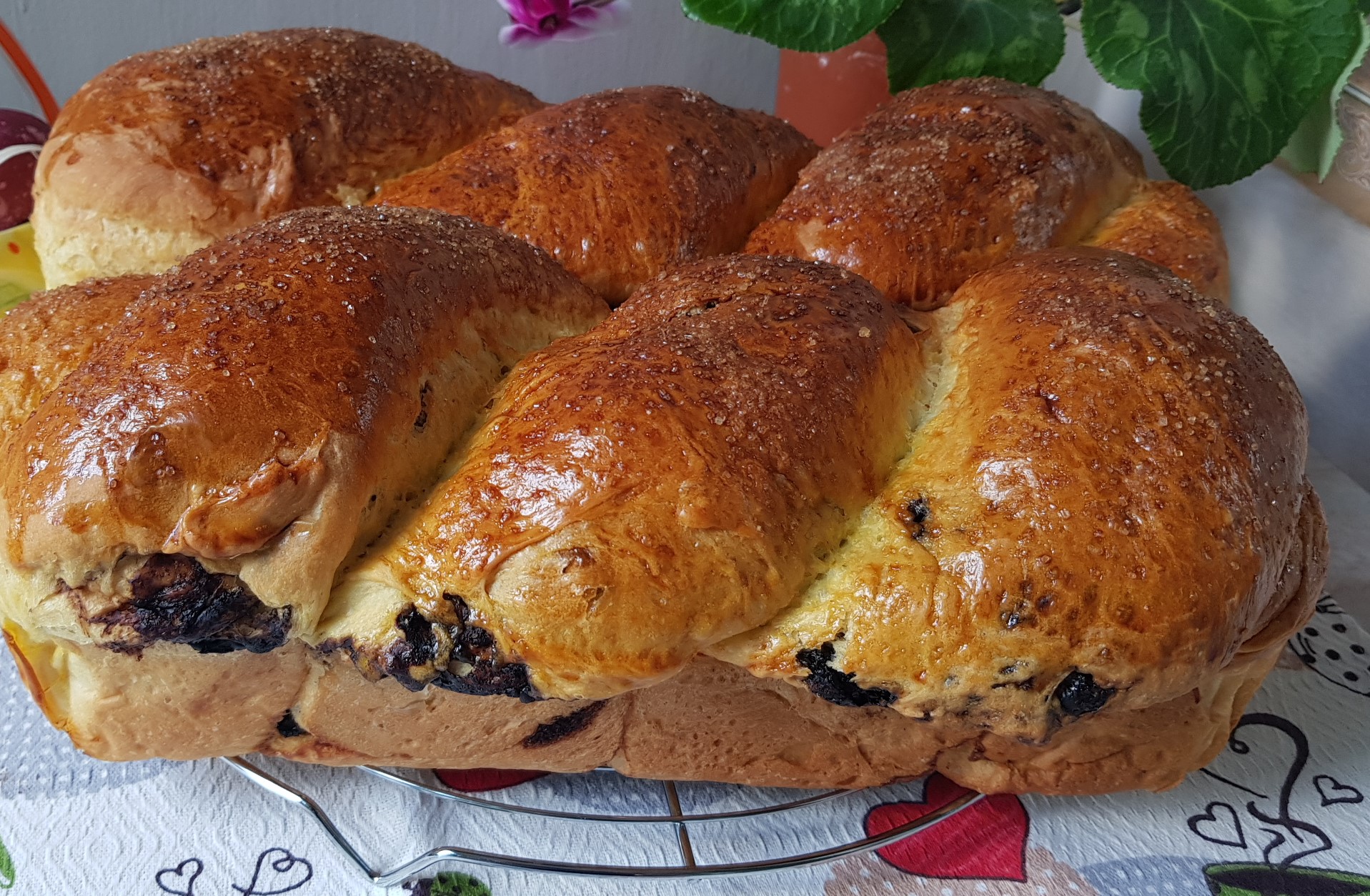 Desert cozonac cu ciocolata si coaja de portocale