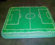 Desert tort teren de fotbal-0