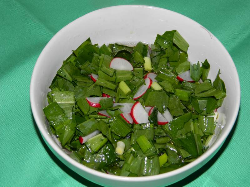 Salata de leurda