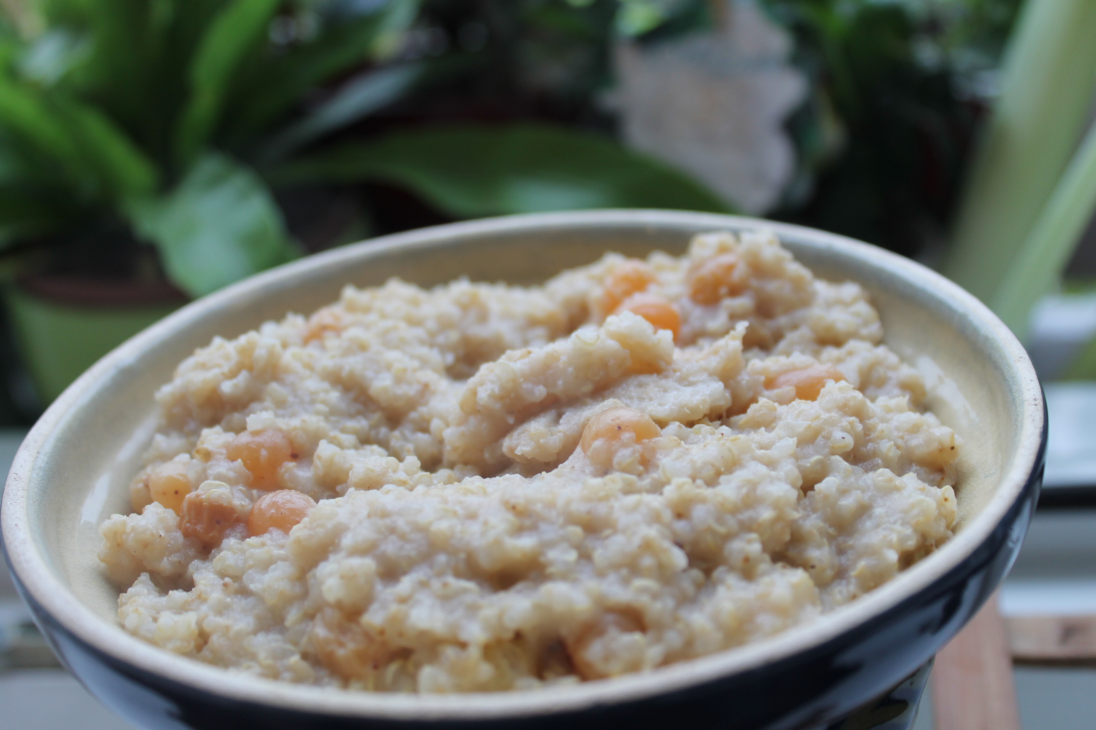 Quinoa, cocos si vanilie, la slow cooker Crock Pot