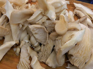 Ciuperci pleurotus in sos cremos