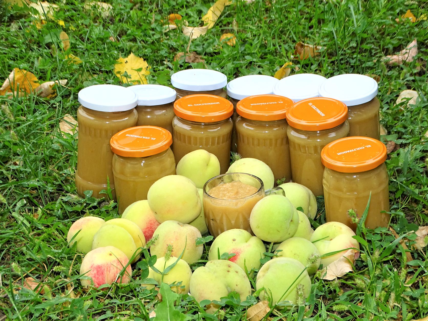 Piure de piersici galbene (pentru creme, mousse-uri si alte dichisuri)