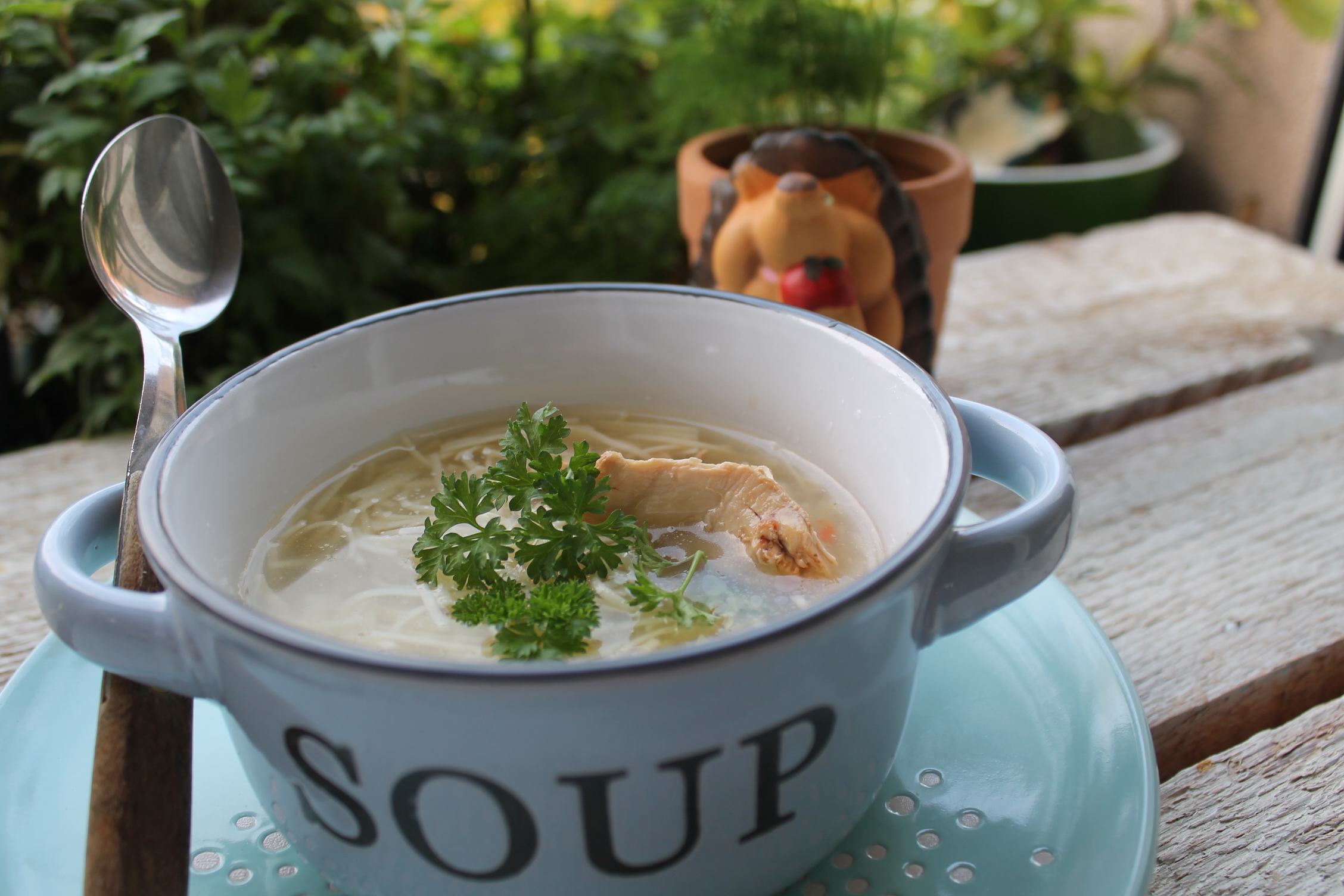 Supa din piept de curcan cu taitei de casa la slow cooker Crock Pot