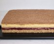 Prajitura Cati, o reteta delicioasa-35