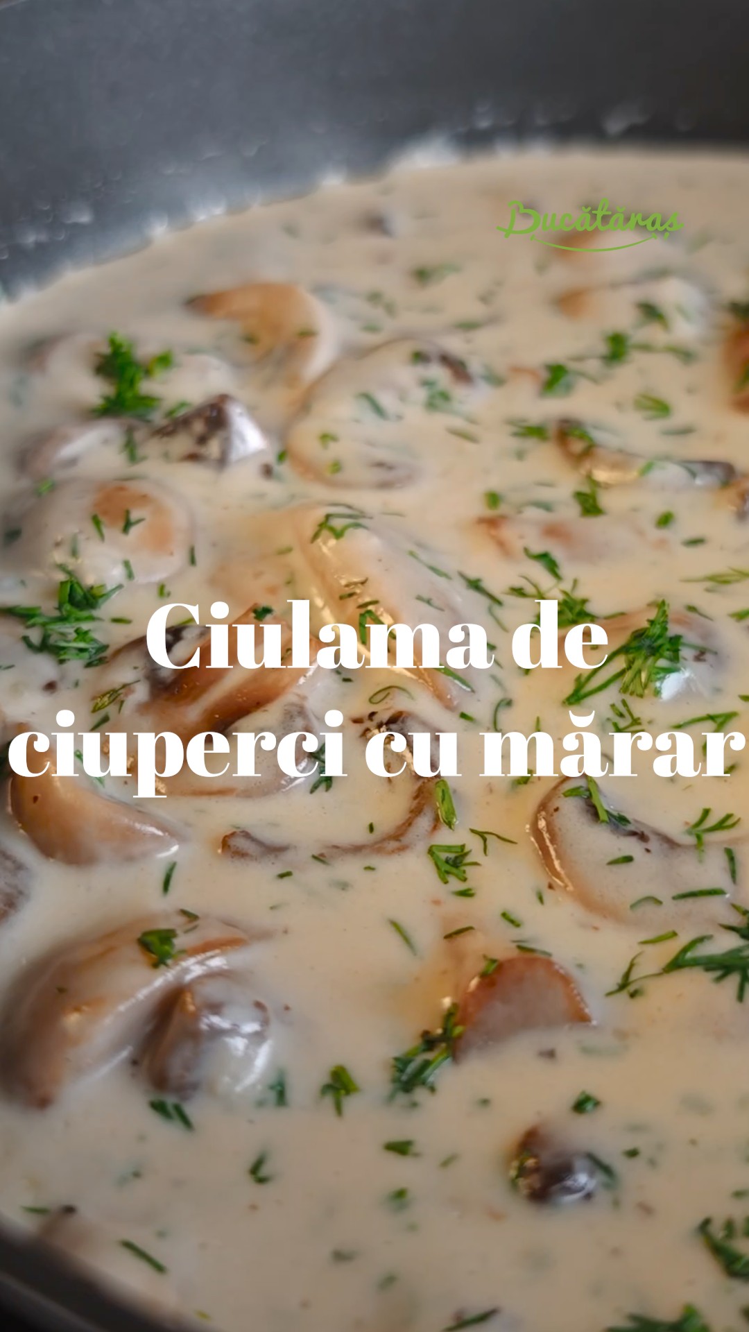 Ciulama de ciuperci cu mărar - Rețeta simplă și gustoasă