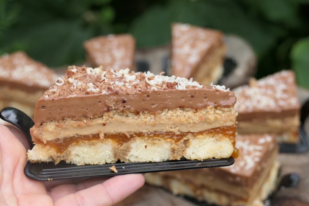 Prajitura cu ness si jeleu de caise - Reteta aromata si delicioasa
